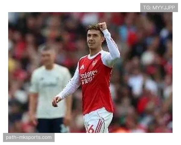 赖斯英超表现出色，迎接顶级联赛挑战展现强劲实力