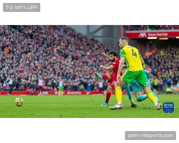 诺维奇城足球俱乐部持续推动财政公平政策,致力于可持续发展与长远成功解析 诺维奇城足球俱乐部持续推动财政公平政策,致力于可持续发展与长远成功解析