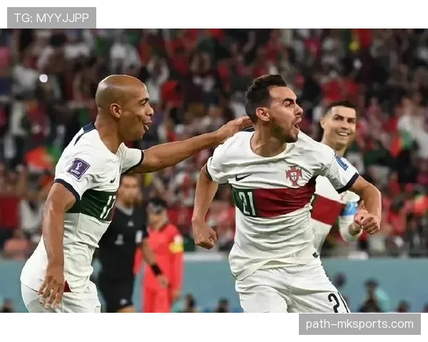 维蒂尼亚战术价值与实际贡献解析